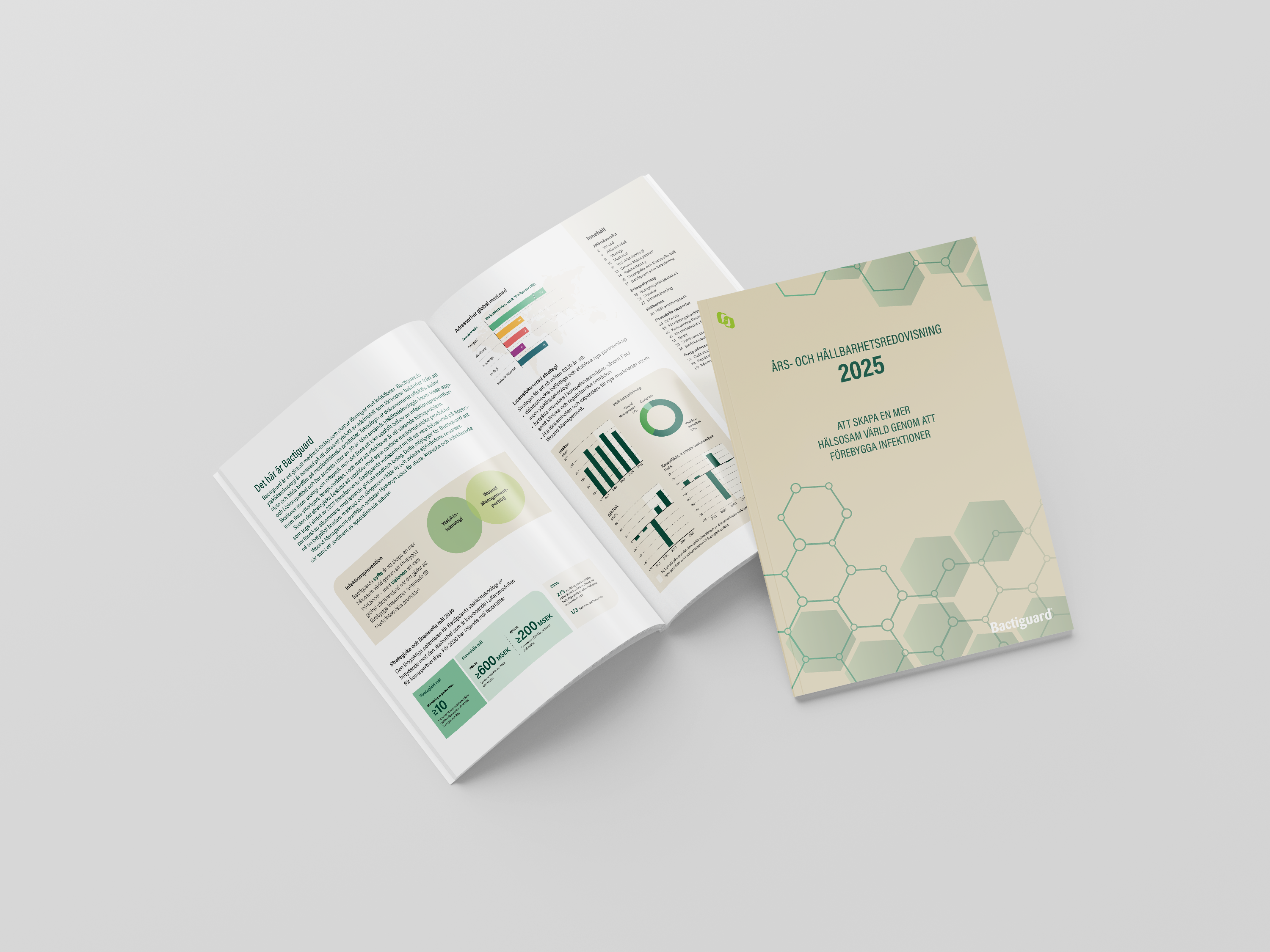 Års- och hållbarhetsredovisning 2025